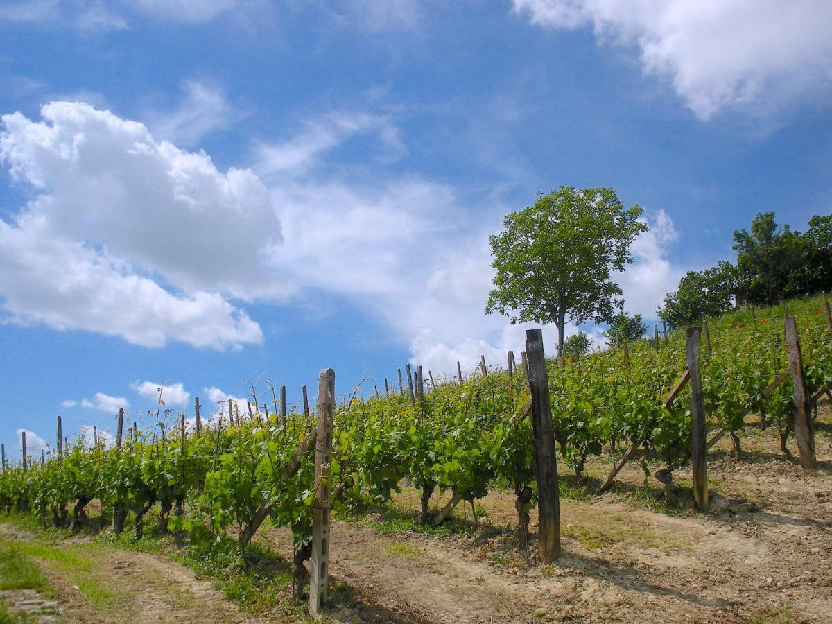 Cascina Tra I Vigneti A Nizza Monferrato Villa Exterior photo