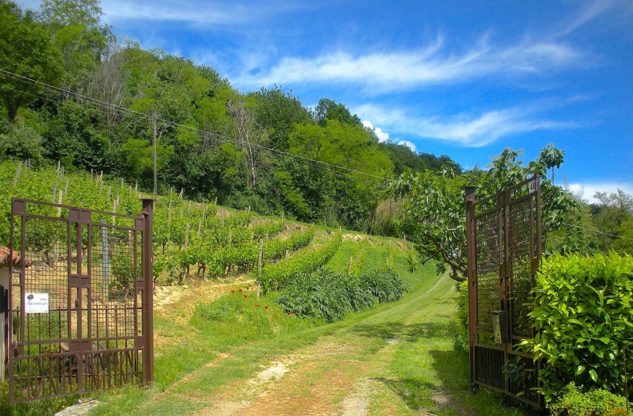 Cascina Tra I Vigneti A Nizza Monferrato Villa Exterior photo