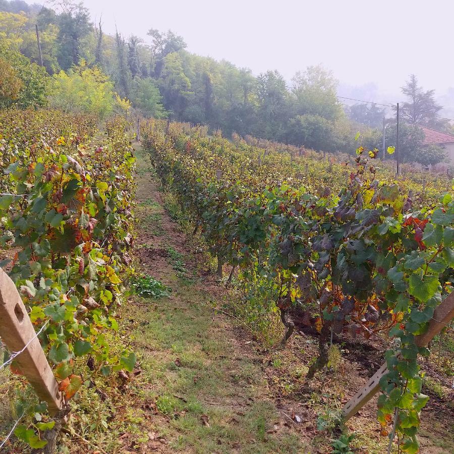 Cascina Tra I Vigneti A Nizza Monferrato Villa Exterior photo